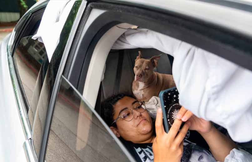 Viver numa Carrinha: A Realidade Invisível de Centenas de Portugueses em Pleno Século XXI