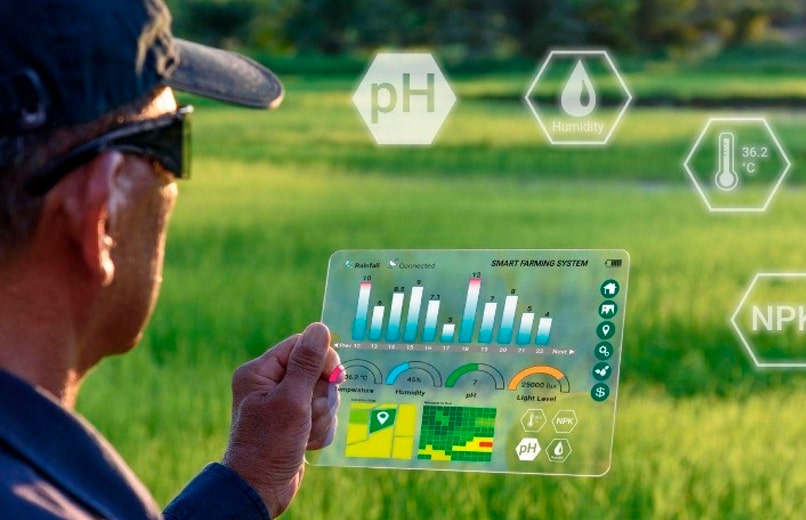 Startups portuguesas lideram revolução tecnológica no campo: inovação agrícola ganha força com apoio governamental
