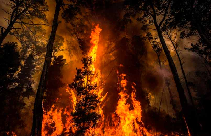 Portugal em Chamas? Incêndios Florestais Podem Ir Para o Dobro Já no Nosso Tempo